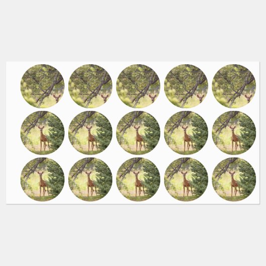 Étiquettes Un cerf solitaire (Feuille)