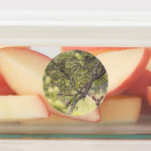 Étiquettes Un cerf solitaire (Apposé)