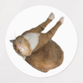 Étiquettes Upside-Down Sunshine (Design 2)