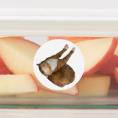 Étiquettes Upside-Down Sunshine (Apposé)