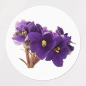 Étiquettes Violet africain (Design 1)