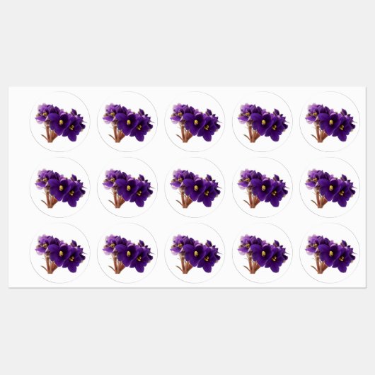 Étiquettes Violet africain (Feuille)