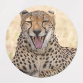 Étiquettes Yawning Cheetah (Design 2)