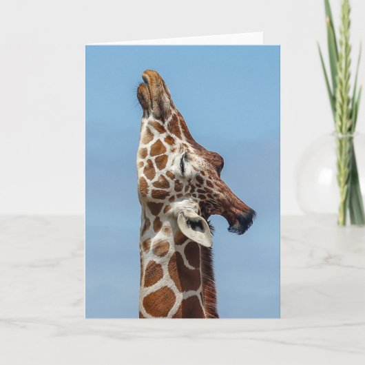 Étirage de la carte de girafe (Devant)