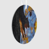 Étirage de l'écureuil (devant)