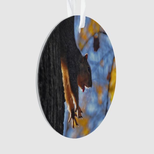 Étirage de l'écureuil (devant)