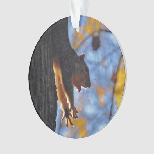 Étirage de l'écureuil (devant)