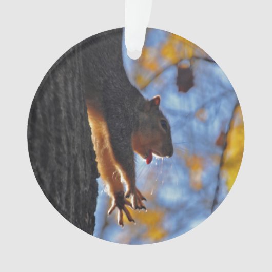 Étirage de l'écureuil (devant)