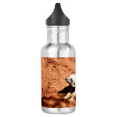 Étirement blanc Meerkat, Bouteille d'eau (Gauche)