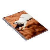 Étirement Meerkat Blanc, Carnet (Côté Droit)