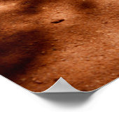 Étirement Meerkat Blanc, Poster (Coin)