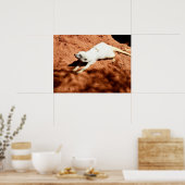 Étirement Meerkat Blanc, Poster (Cuisine)