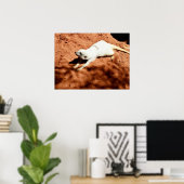 Étirement Meerkat Blanc, Poster (Bureau à domicile)
