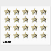 Étoile Bast Star Sticker (Feuille)