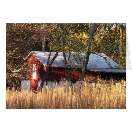 Étoile d'automne dans le Maryland central (Devant horizontal)