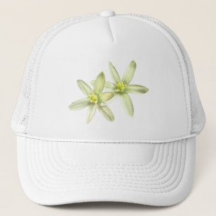 Étoile de casquette de Bethlehem