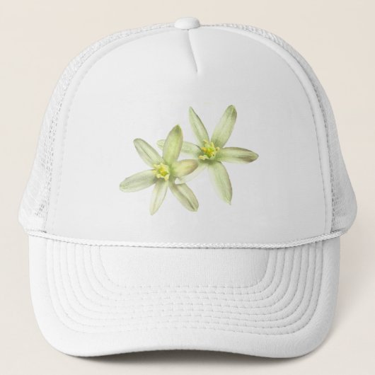 Étoile de casquette de Bethlehem (Devant)