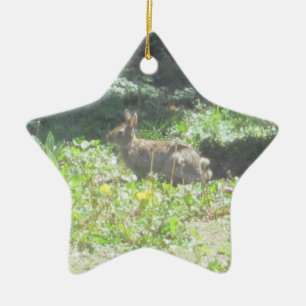Étoile En Céramique Ornement de lapin sauvage