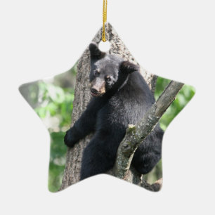 Étoile En Céramique ornement d'ours