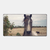 Étoile Le Cheval Arabe Speckté, Mat De Bureau (Recto)