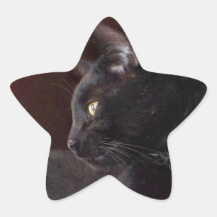 Étoile Portrait de mon garçon, Sticker Charlie Star