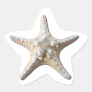 Étoile Starfish STicker - blanc