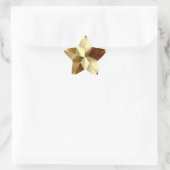 Étoile Sticker Gold Star (Sac)