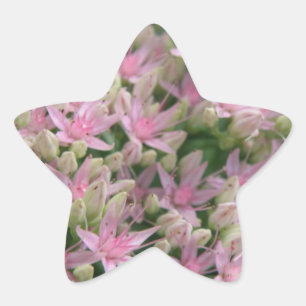 Étoile Sticker Joli rose Fleurs Tropicales