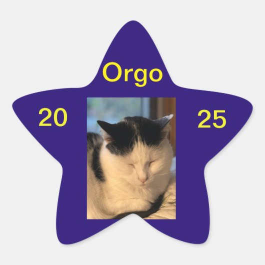 Étoile Sticker Lenny (Devant)