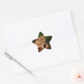 Étoile Sticker Star Savannah Cat (Enveloppe)