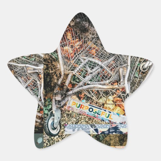 Étoile Unique sticker Run Over Shopping Cart (Devant)