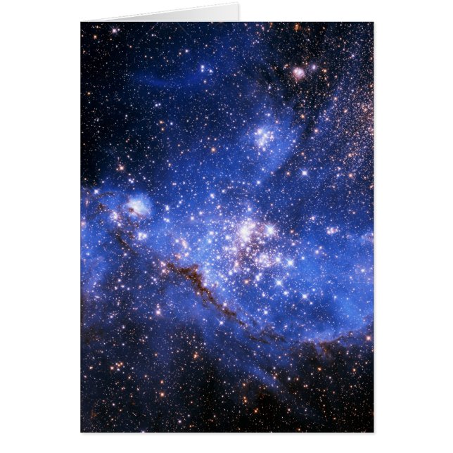 Étoiles Bleu Bleu Embrionique (Devant)