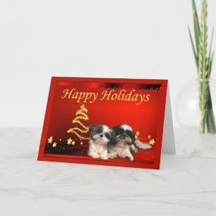 Étoiles de carte de Noël de Shih Tzu