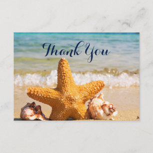 Étoiles de mer et coquillages sur la plage Merci