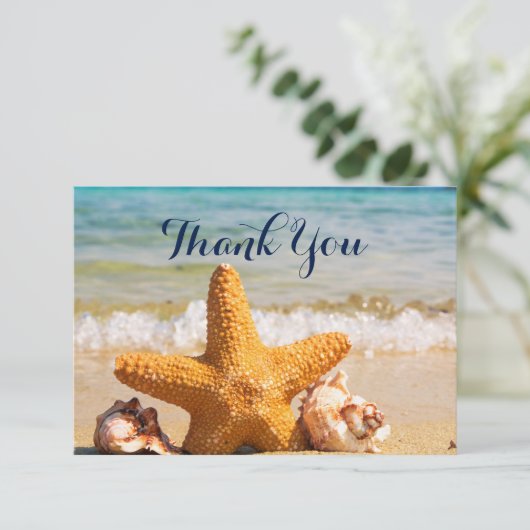 Étoiles de mer et coquillages sur la plage Merci (Debout devant)