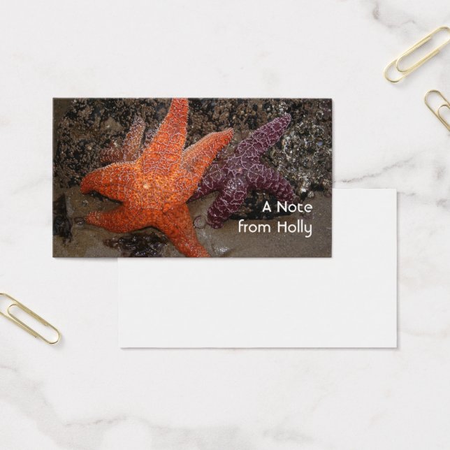 Étoiles de mer/étoiles de mer, plage de canon OU, (Bureau)