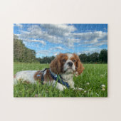 Étonnant Cavalier King Charles Spaniel Puzzle (Horizontal)