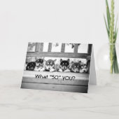 ÉTONNÉ-VOUS AVEZ 50 ANS ? CARTE DE GROUPE (Devant)