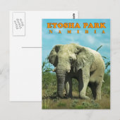 Etosha, Namibië Briefkaart (Voorkant / Achterkant)