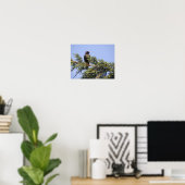 Étourneau dans une impression d'arbre d'épinette (Bureau à domicile)