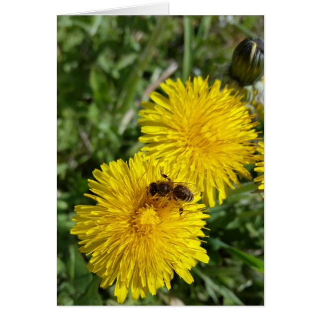 être au travail (Devant)