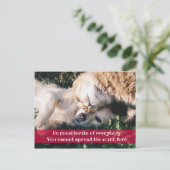 Être considéré carte postale (Debout devant)