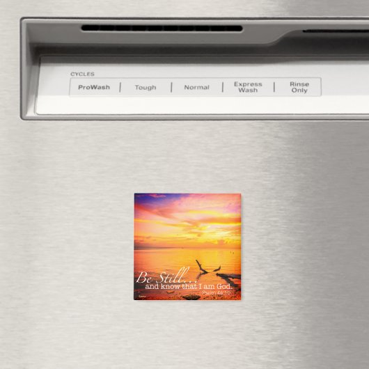 Être toujours aimant (In Situ (Lave-vaisselle))