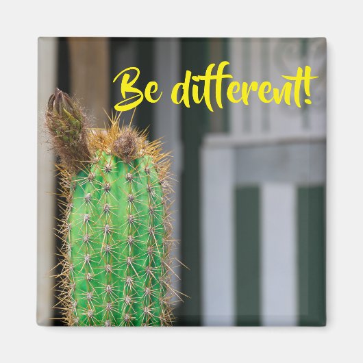 Être un autre aimant d'inspiration de cactus (Devant)