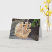 Étreindre la carte de couleur chamois de Cheeked (Fleur jaune)