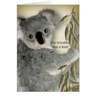 Étreinte mignonne de koala