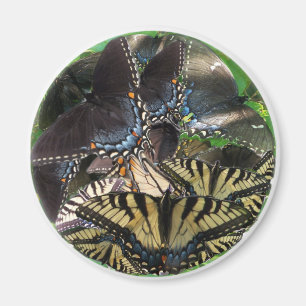 ets_yin_zazzle magneet