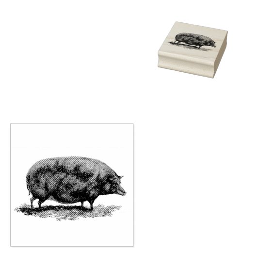 Etsen van varkens rubberstempel (Gestempeld)