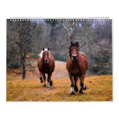 Etsy_Calender (paard) Kalender (Hoes)