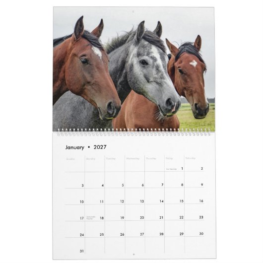 Etsy_Calender (paard) Kalender (Jan 2027)